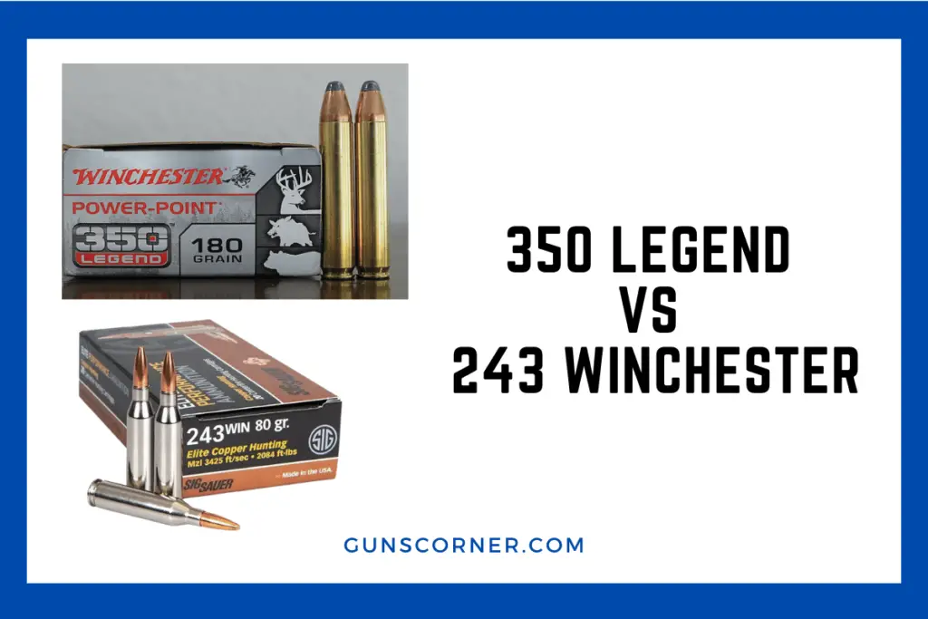 Battle of the Bullets 350 Legend Vs 243 Winchester