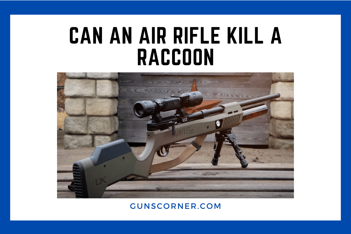 can an air rifle kill a raccoon