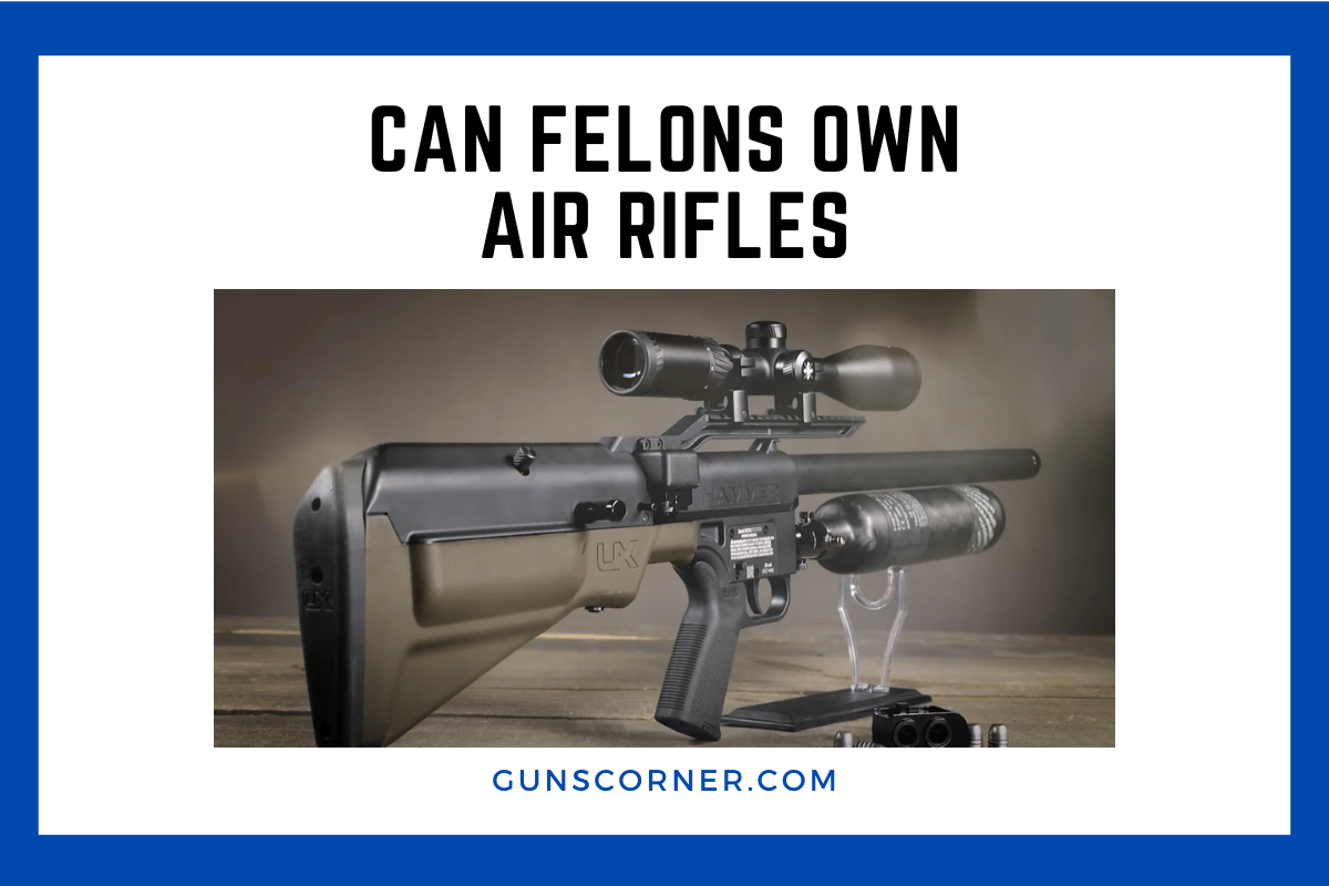 can felons own air rifles