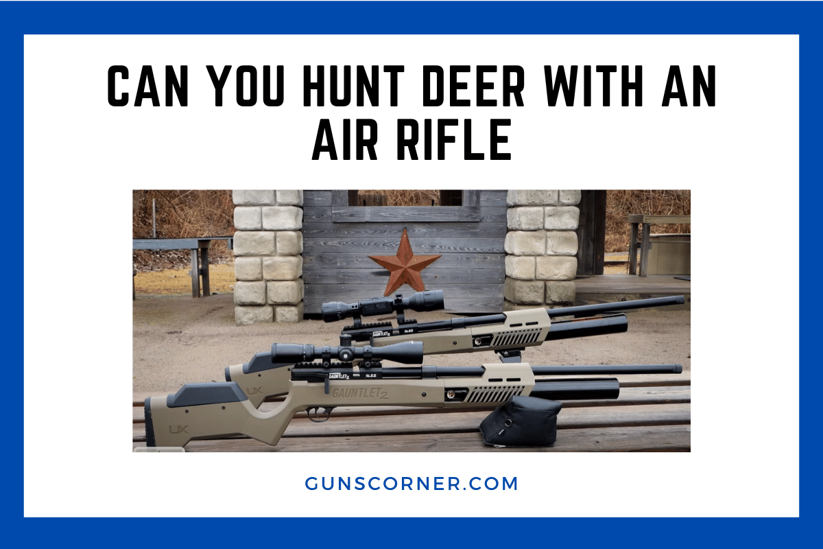 can you hunt deer with an air rifle