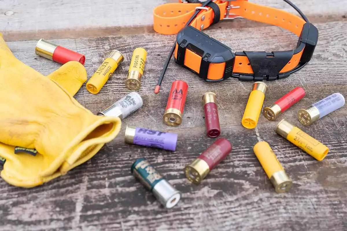 Types of Shotgun Loads
