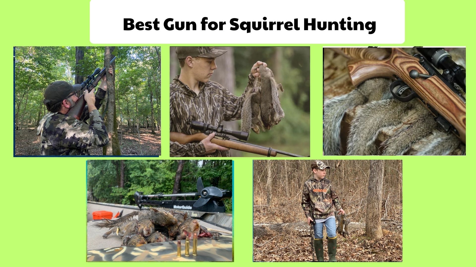 Best Gun for Squirrel Hunting