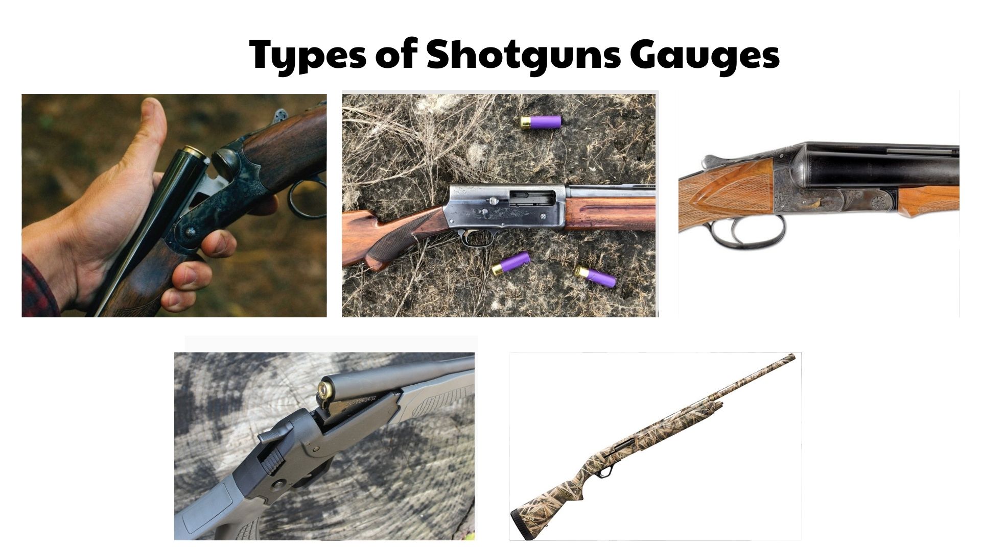 Types of Shotguns Gauges