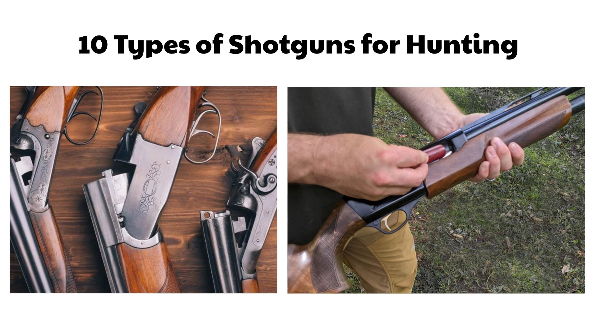 10 Types of Shotguns for Hunting