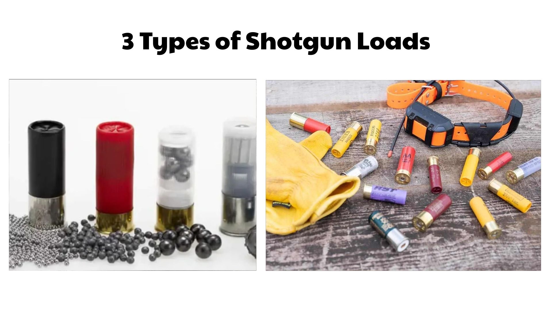 3 Types of Shotgun Loads
