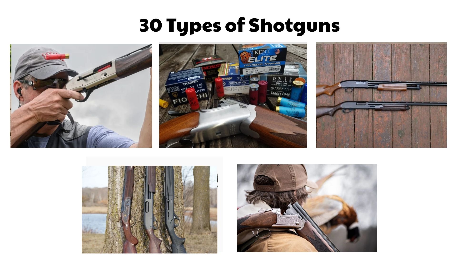 30 Types of Shotguns