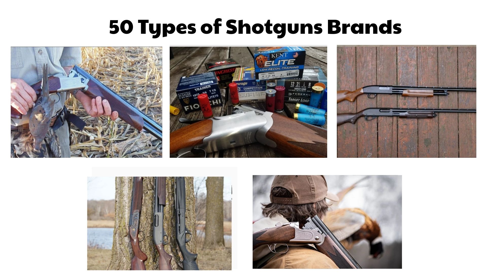 50 Types of Shotguns Brands