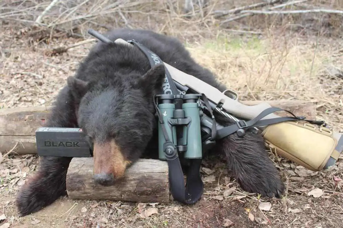 Bear Defense Cartridges Overview