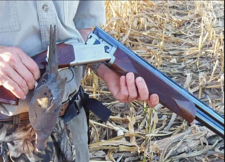 Key Considerations When Choosing a Dove Hunting Gun