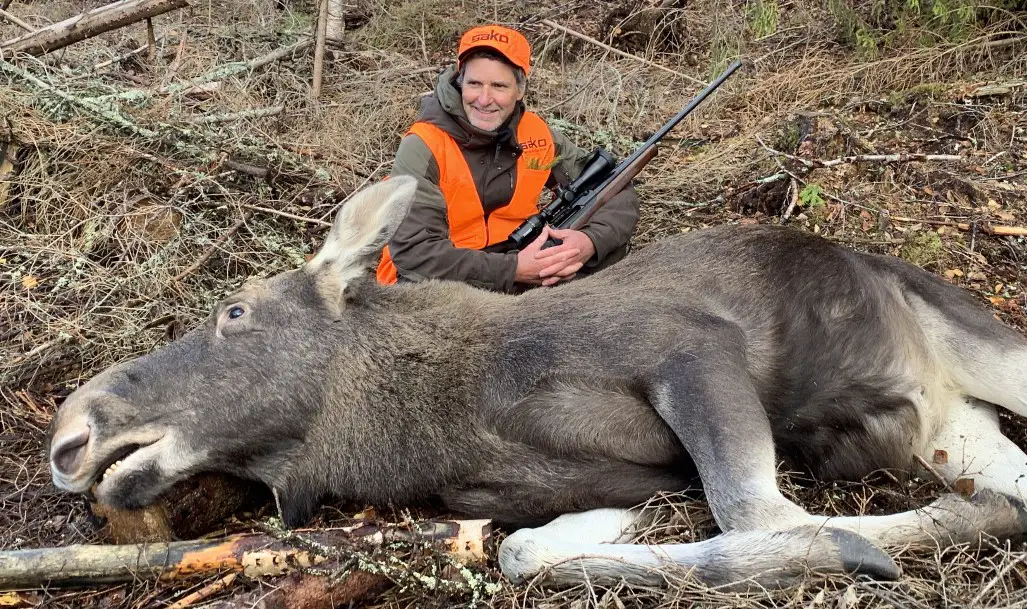 Moose Hunting Caliber Fundamentals