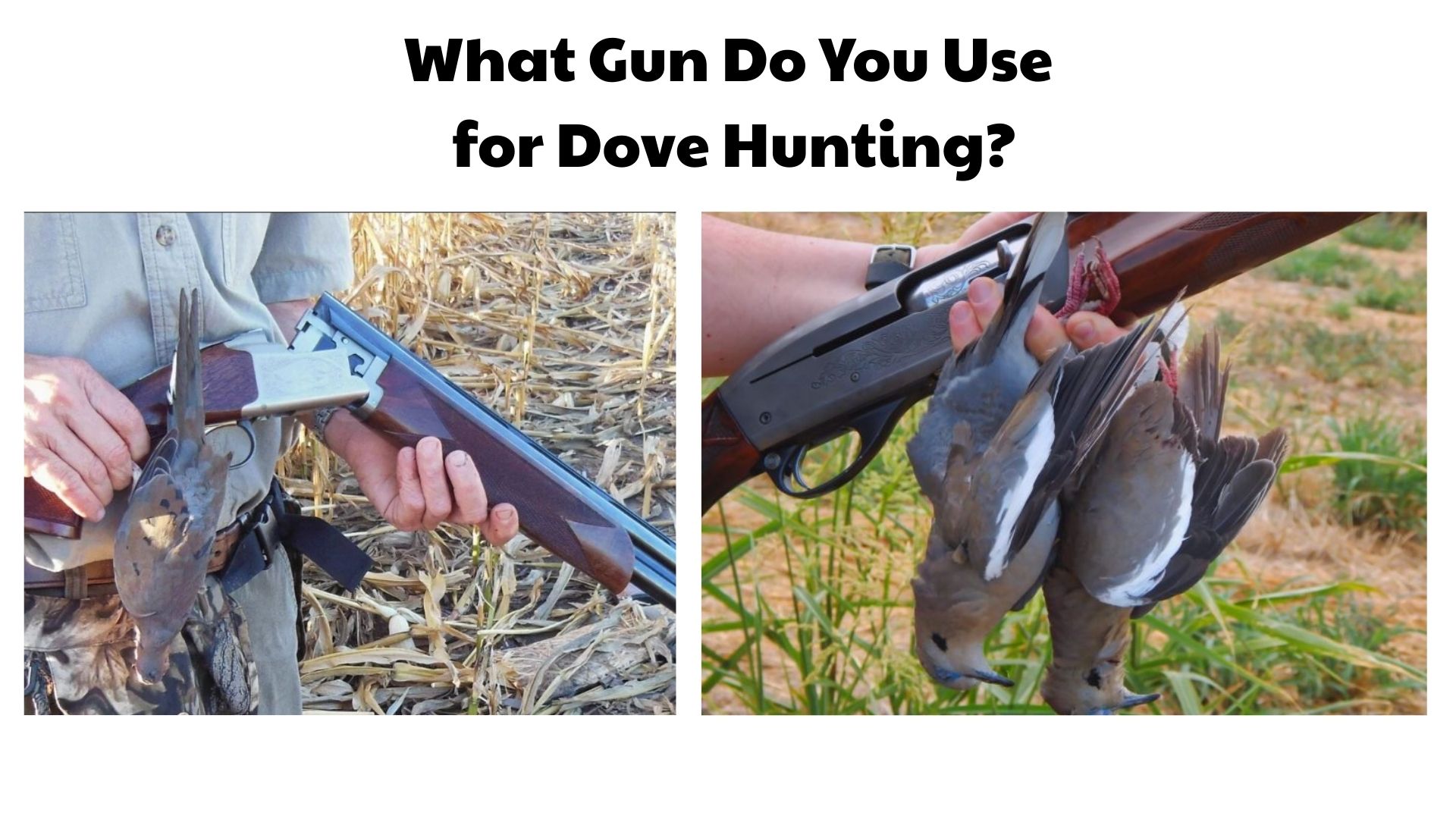 What Gun Do You Use for Dove Hunting