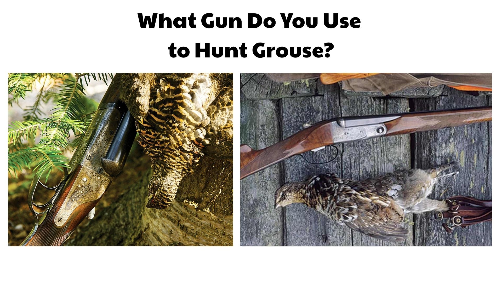 What Gun Do You Use to Hunt Grouse
