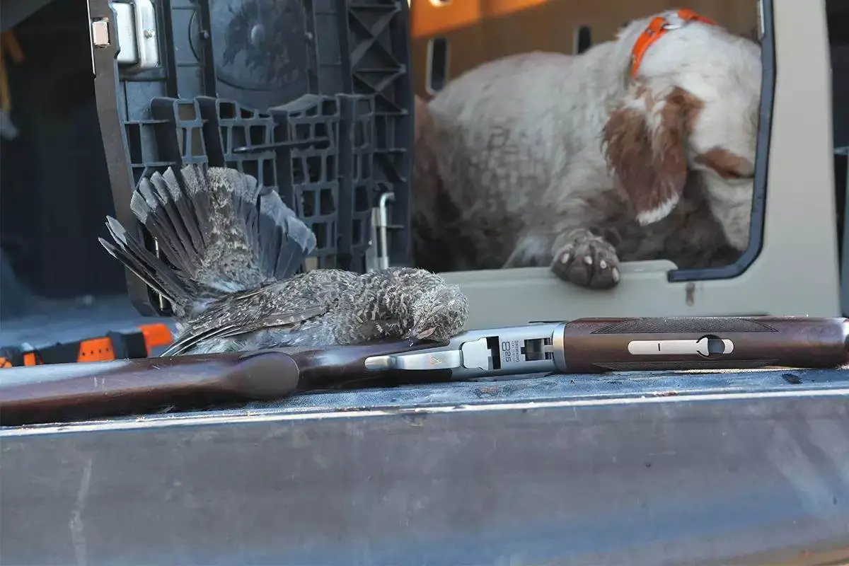 What Gun Do You Use to Hunt Grouse