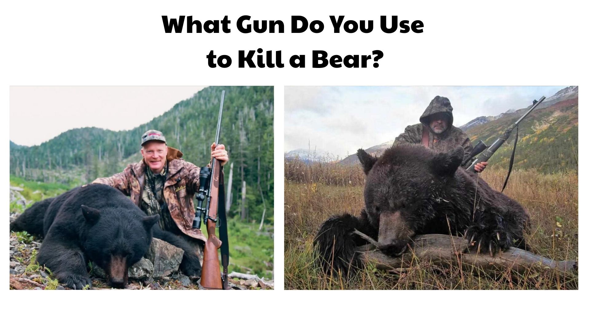 What Gun Do You Use to Kill a Bear
