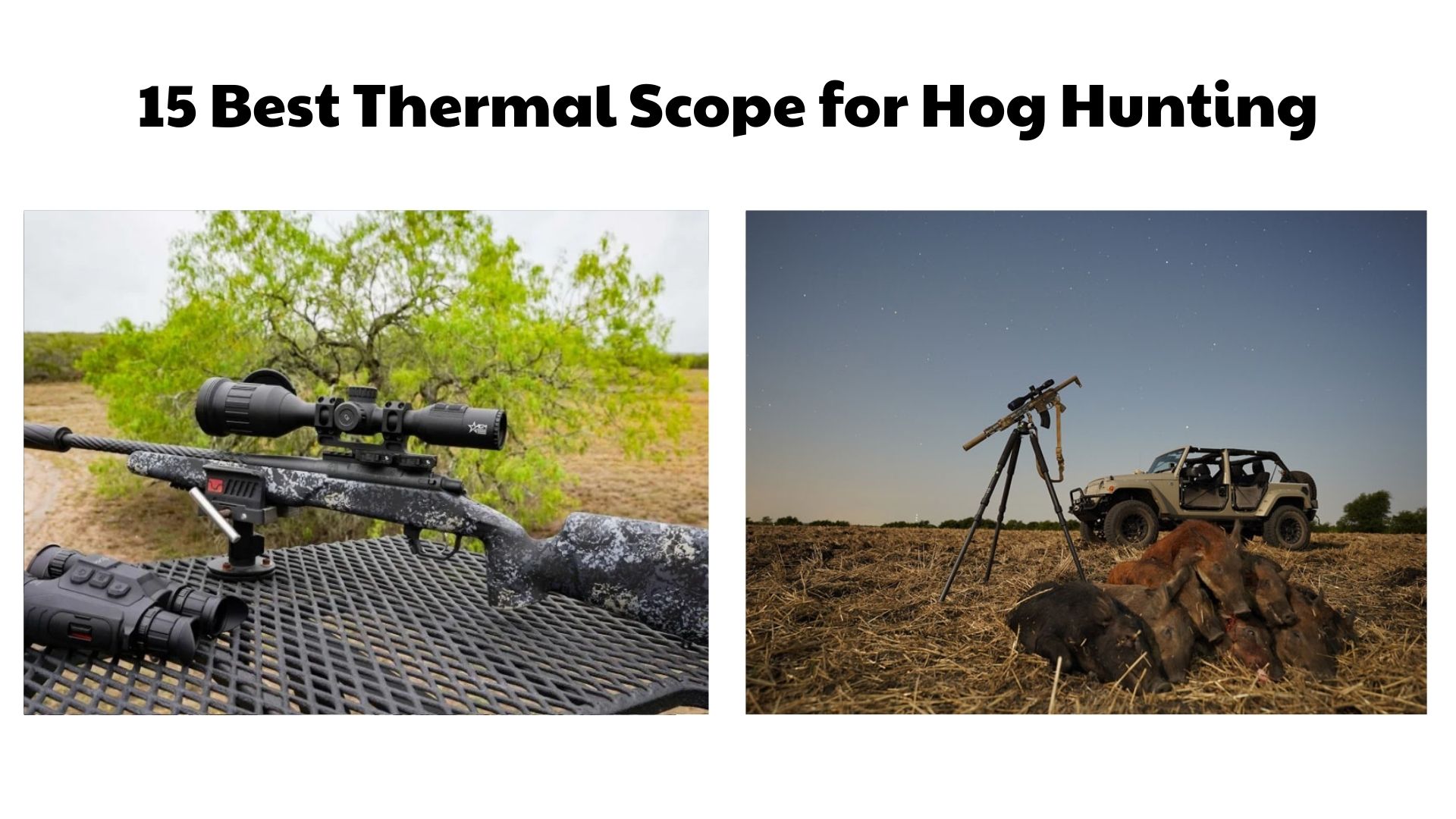 15 Best Thermal Scope for Hog Hunting