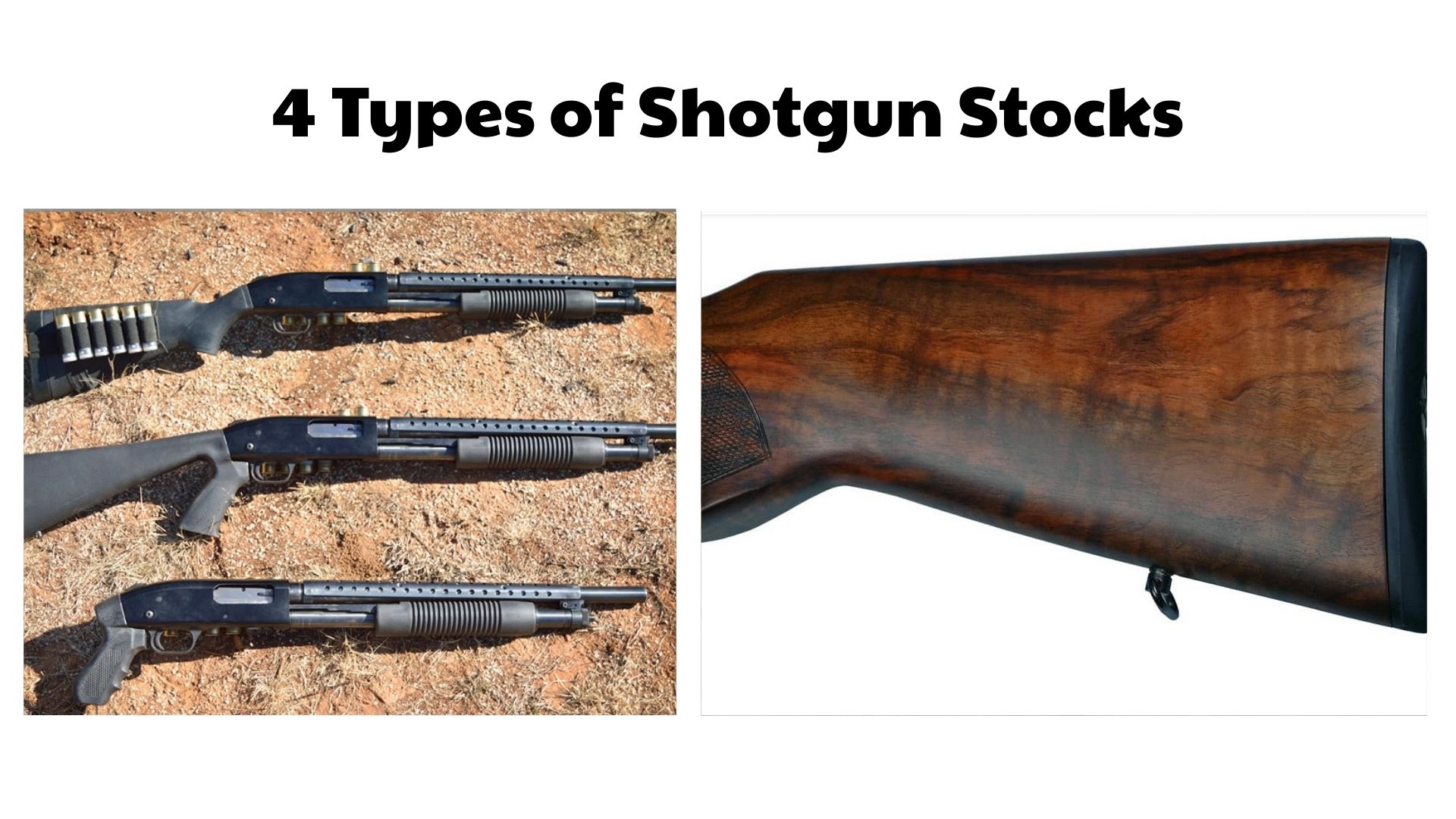 4 Types of Shotgun Stocks