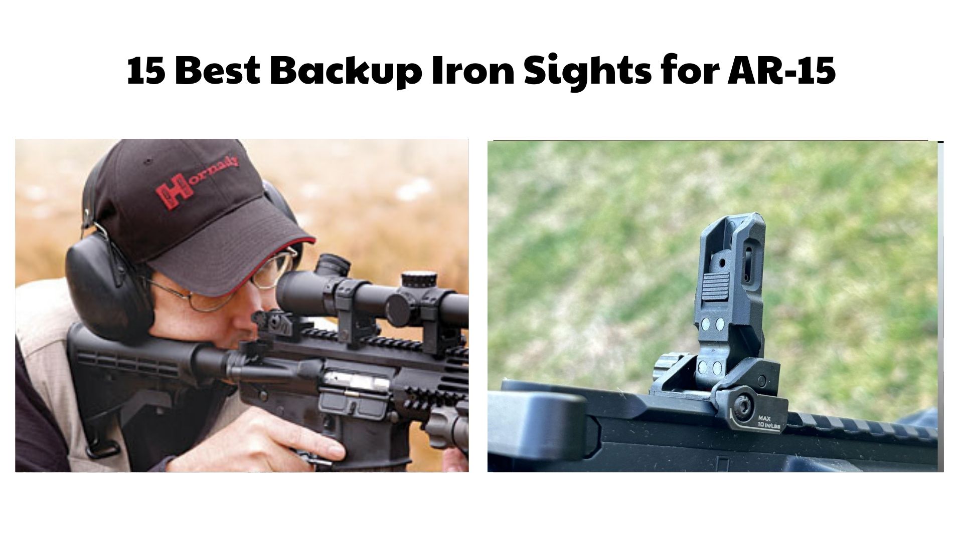 Backup Iron Sights for AR-15