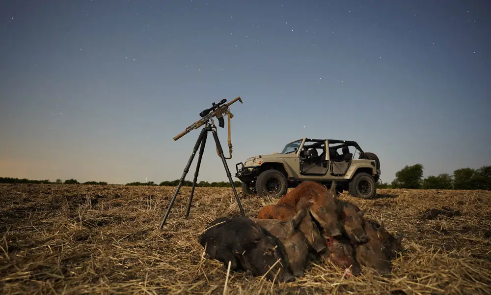Thermal Scope for Hog Hunting