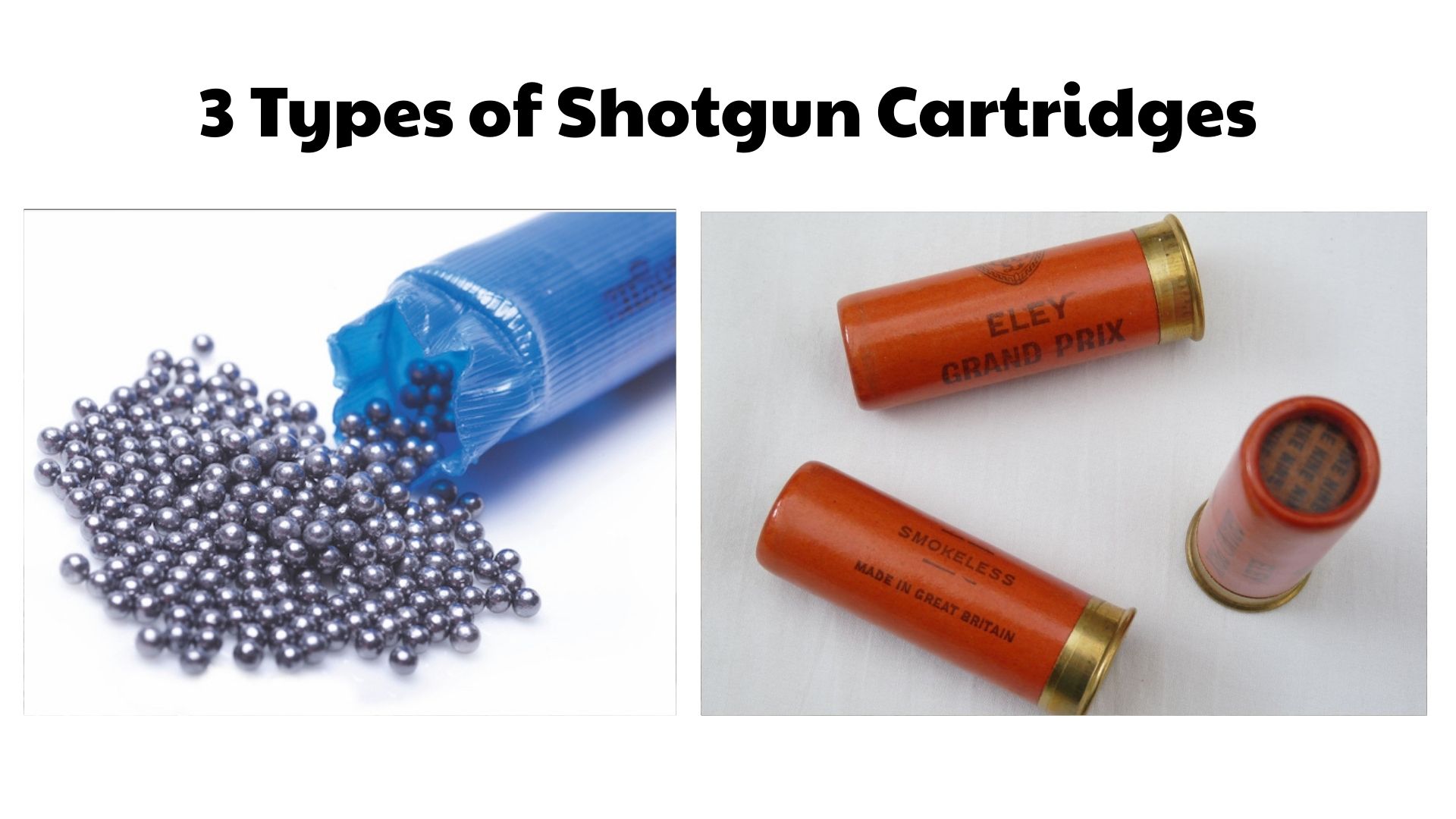 Types of Shotgun Cartridges