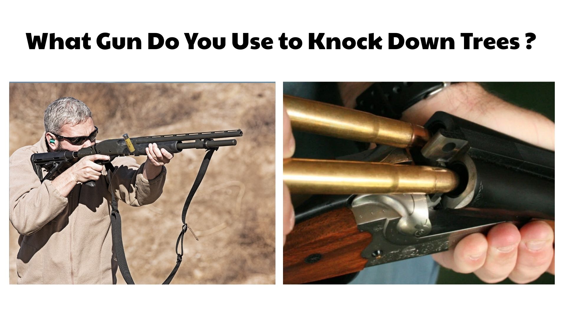 What Gun Do You Use to Knock Down Trees  