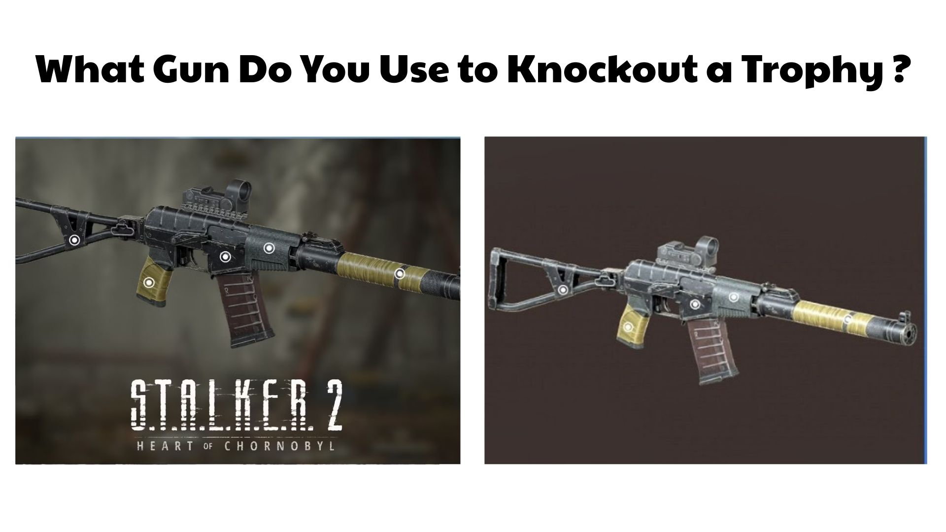What Gun Do You Use to Knockout a Trophy