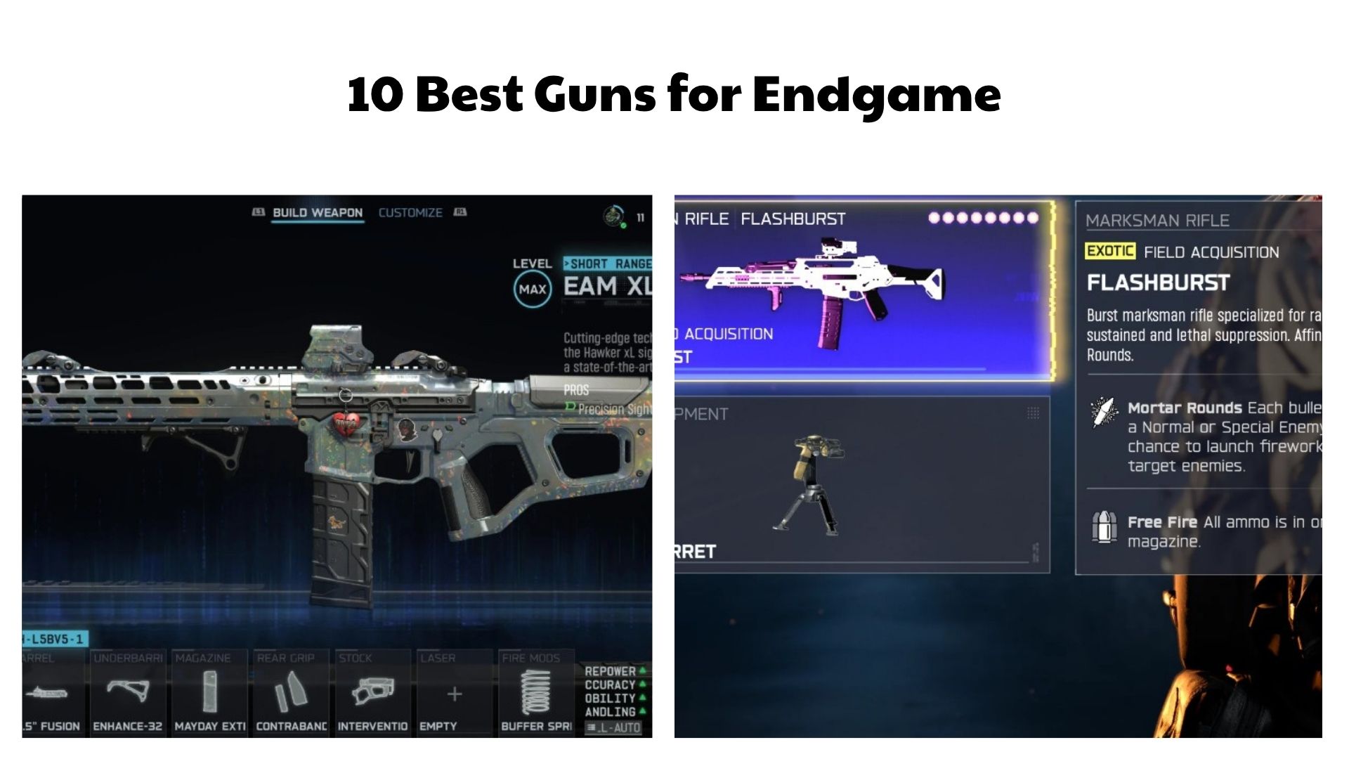 10 Best Guns for Endgame
