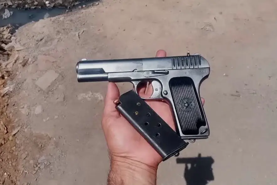 10 Best Guns for Interchange