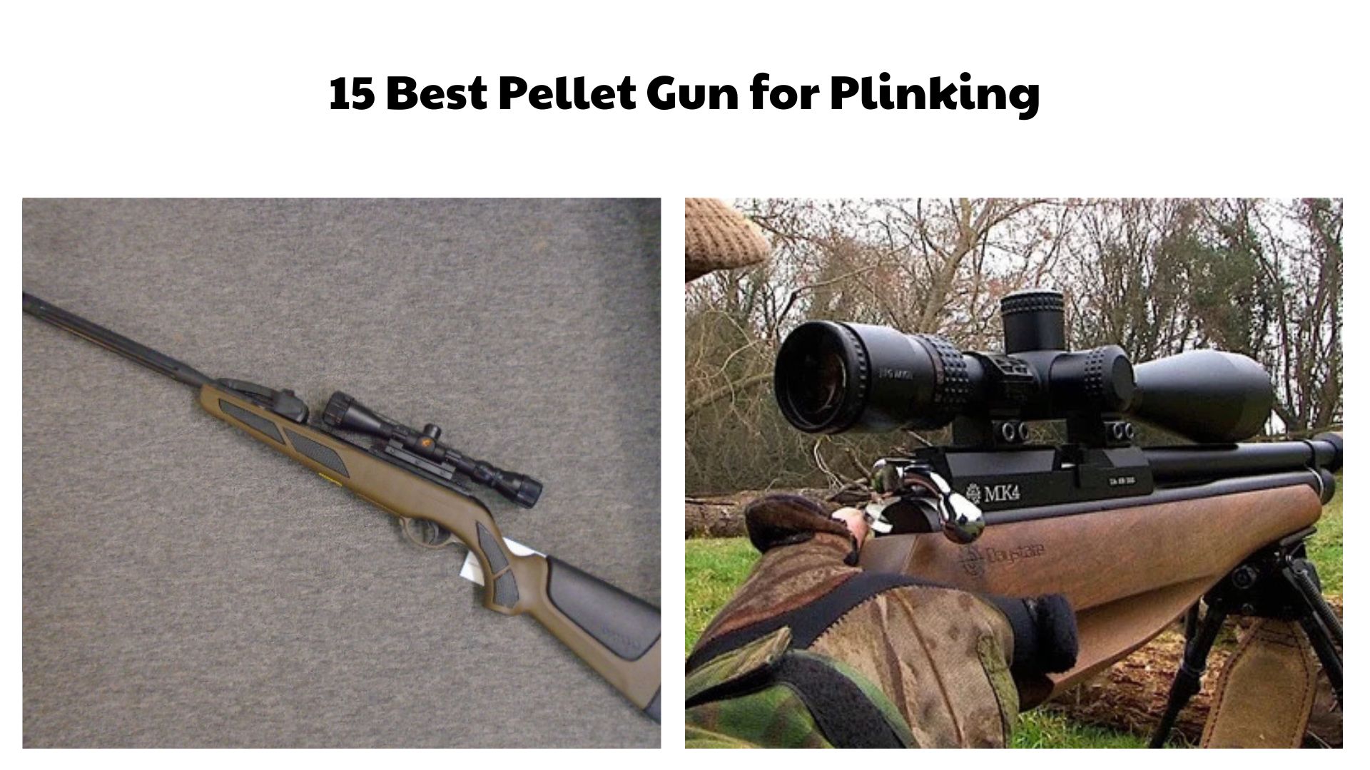 15 Best Pellet Gun for Plinking