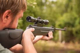 15 Best Pellet Gun for Small Game