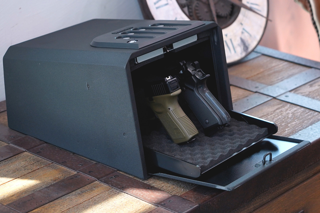 20 Best Handgun Safe 