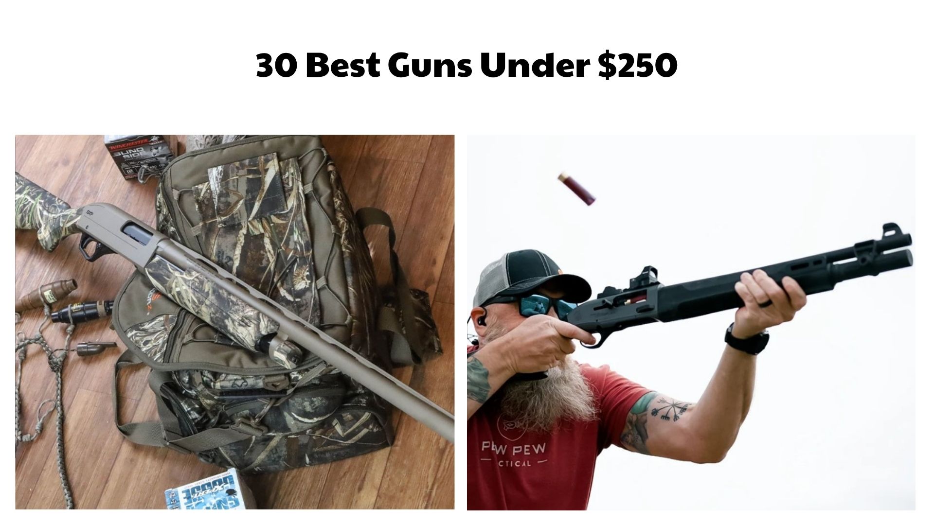 30 Best Guns Under $250