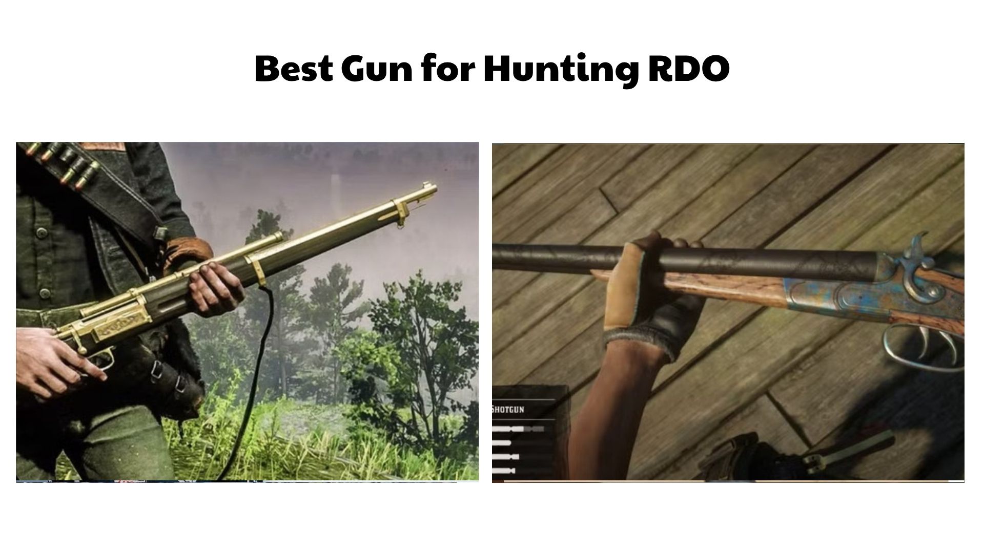 Best Gun for Hunting RDO