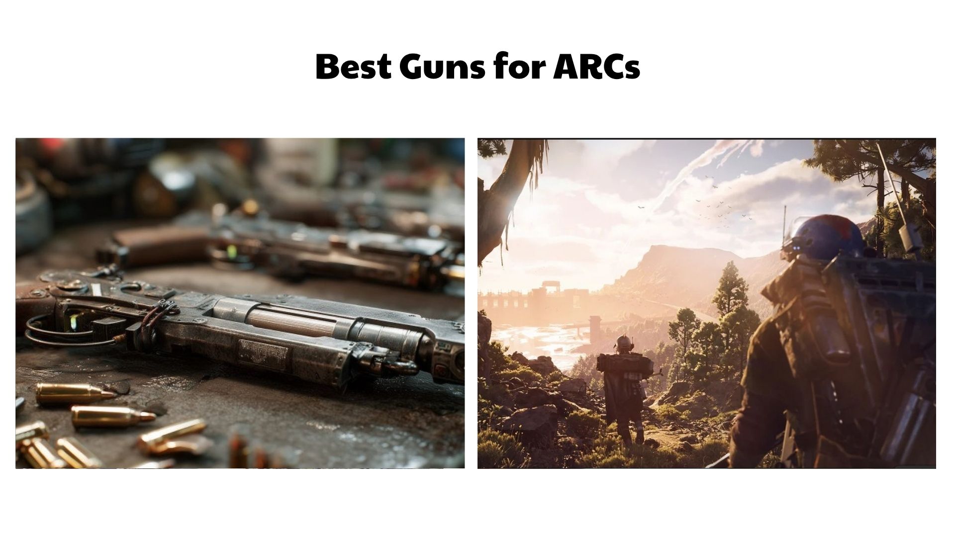 Best Guns for ARCs