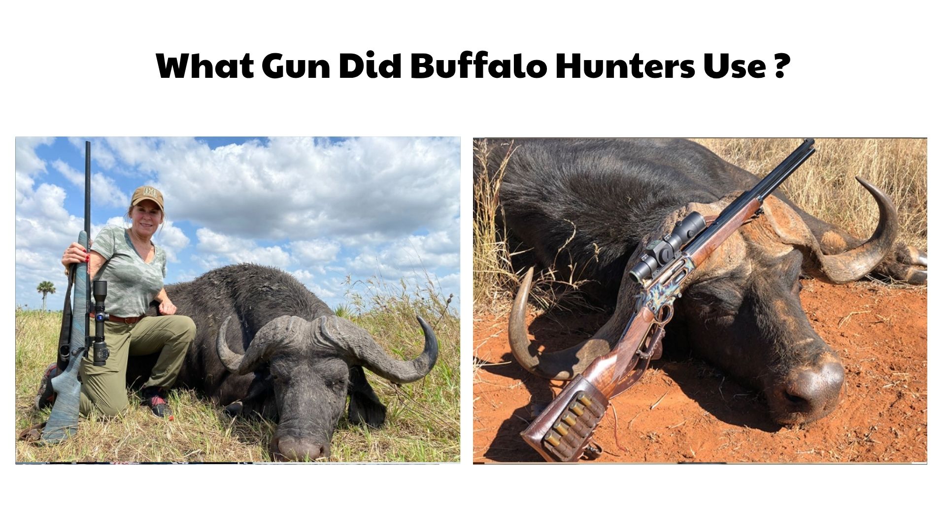 What Gun Did Buffalo Hunters Use