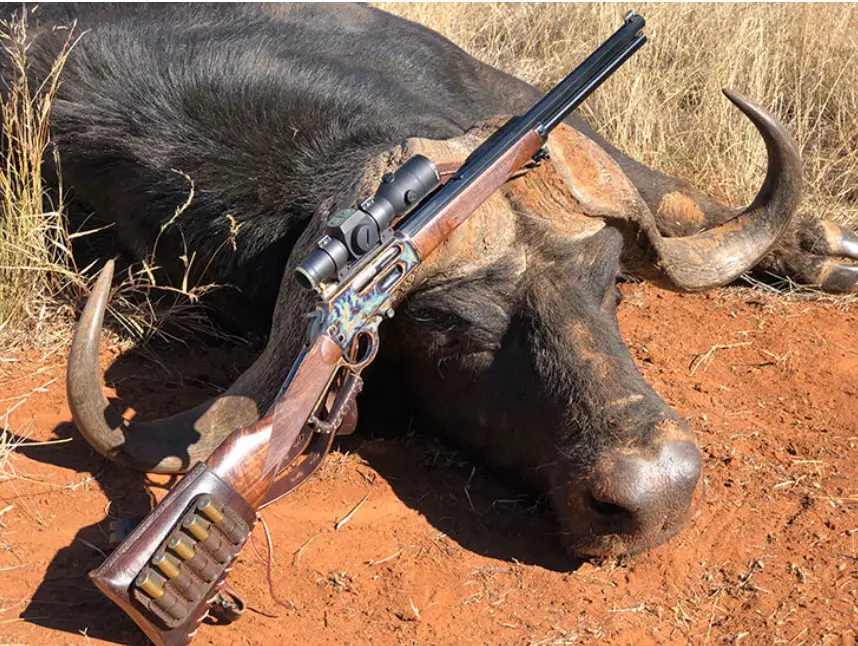 What Gun Did Buffalo Hunters Use