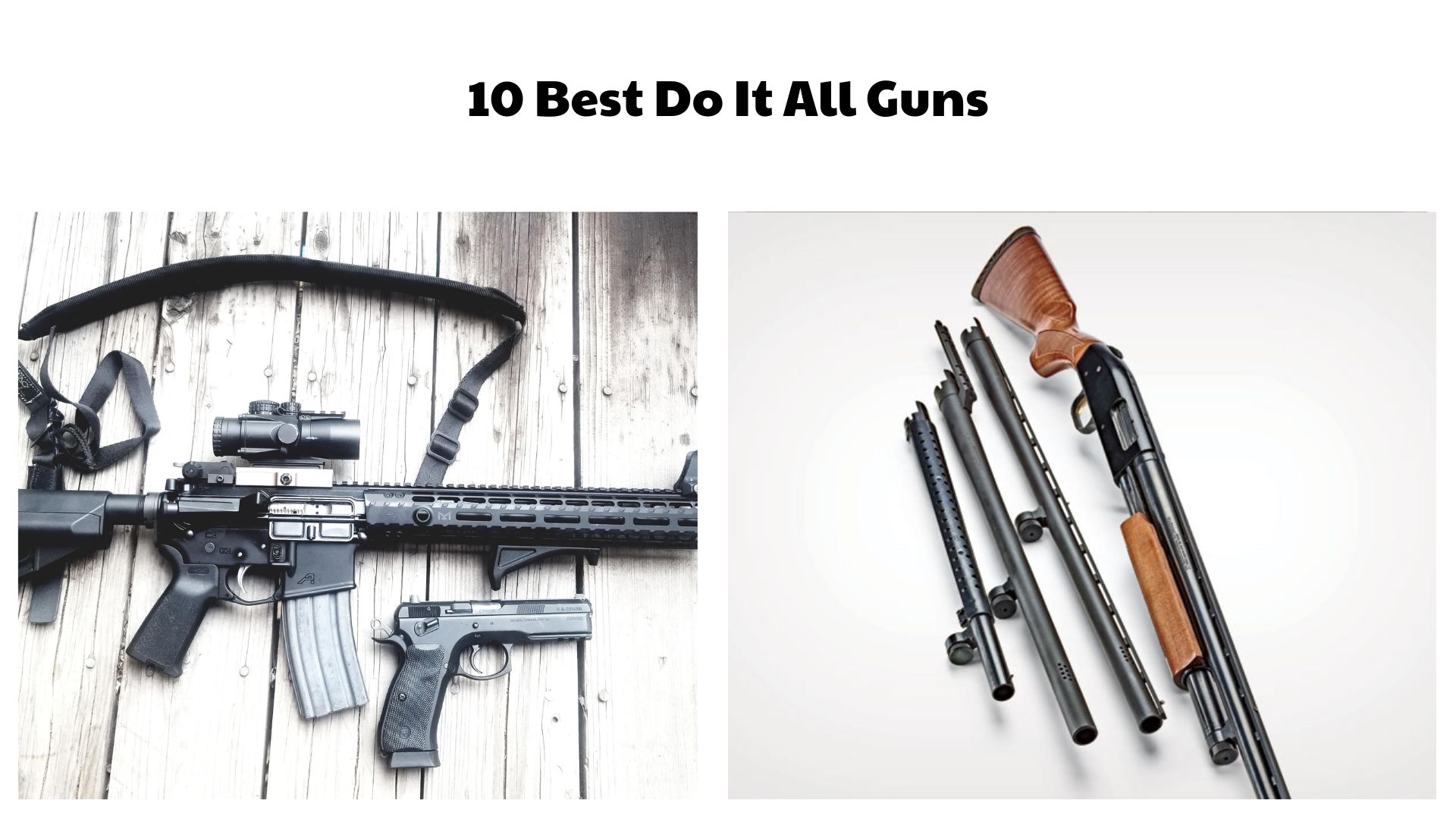10 Best Do It All Guns