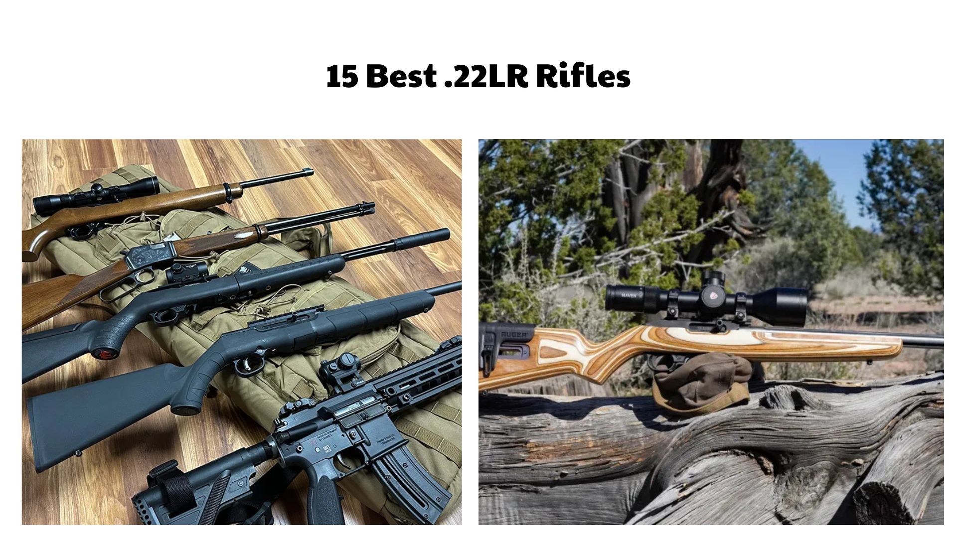 15 Best .22LR Rifles