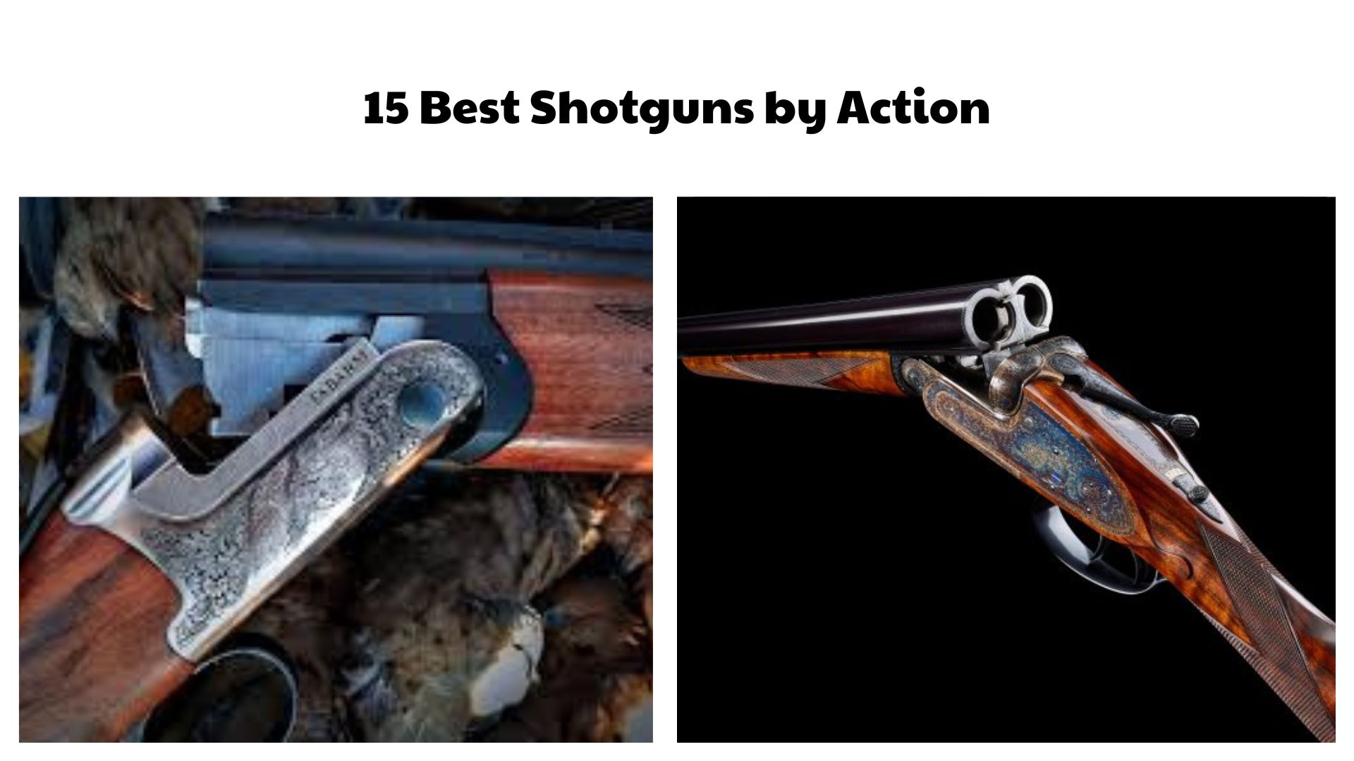 15 Best Shotguns by Action