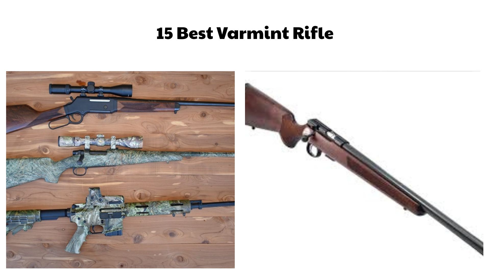 15 Best Varmint Rifle