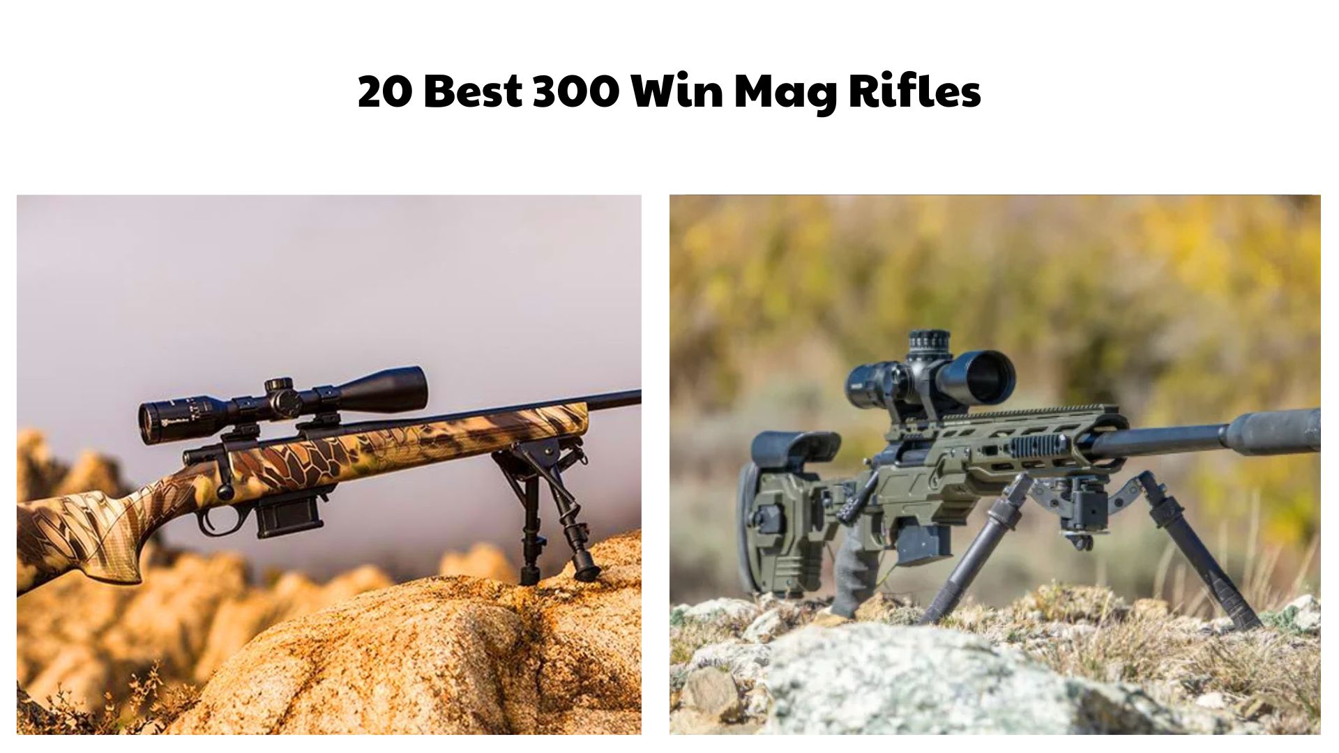 20 Best 300 Win Mag Rifles
