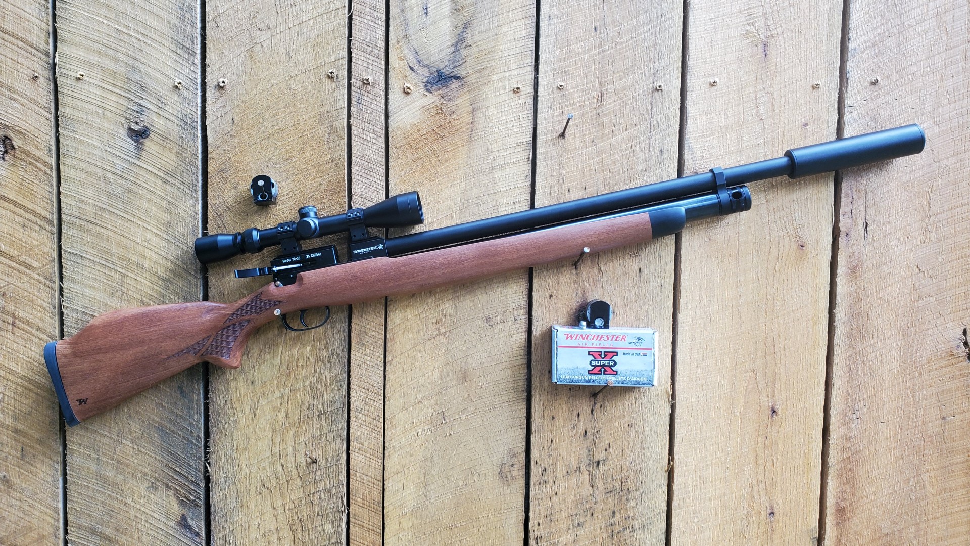 20 Best Air Rifles