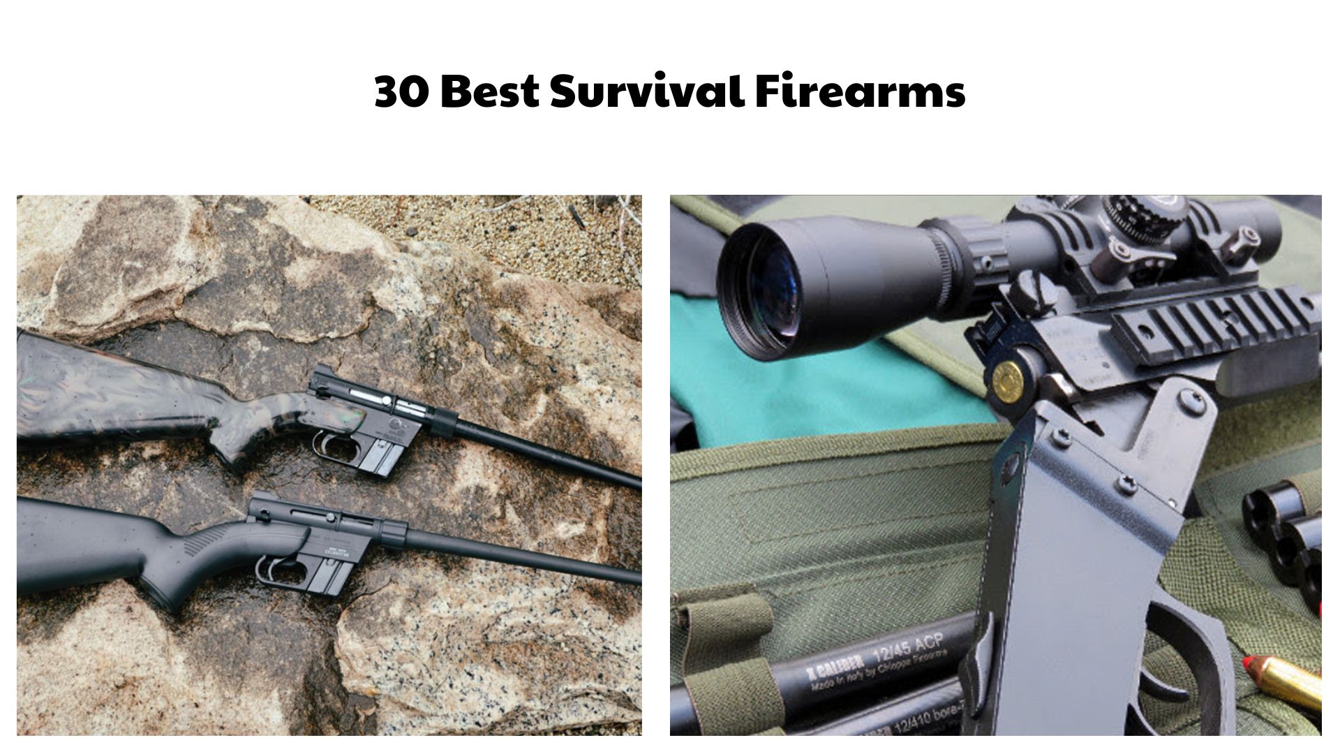 30 Best Survival Firearms