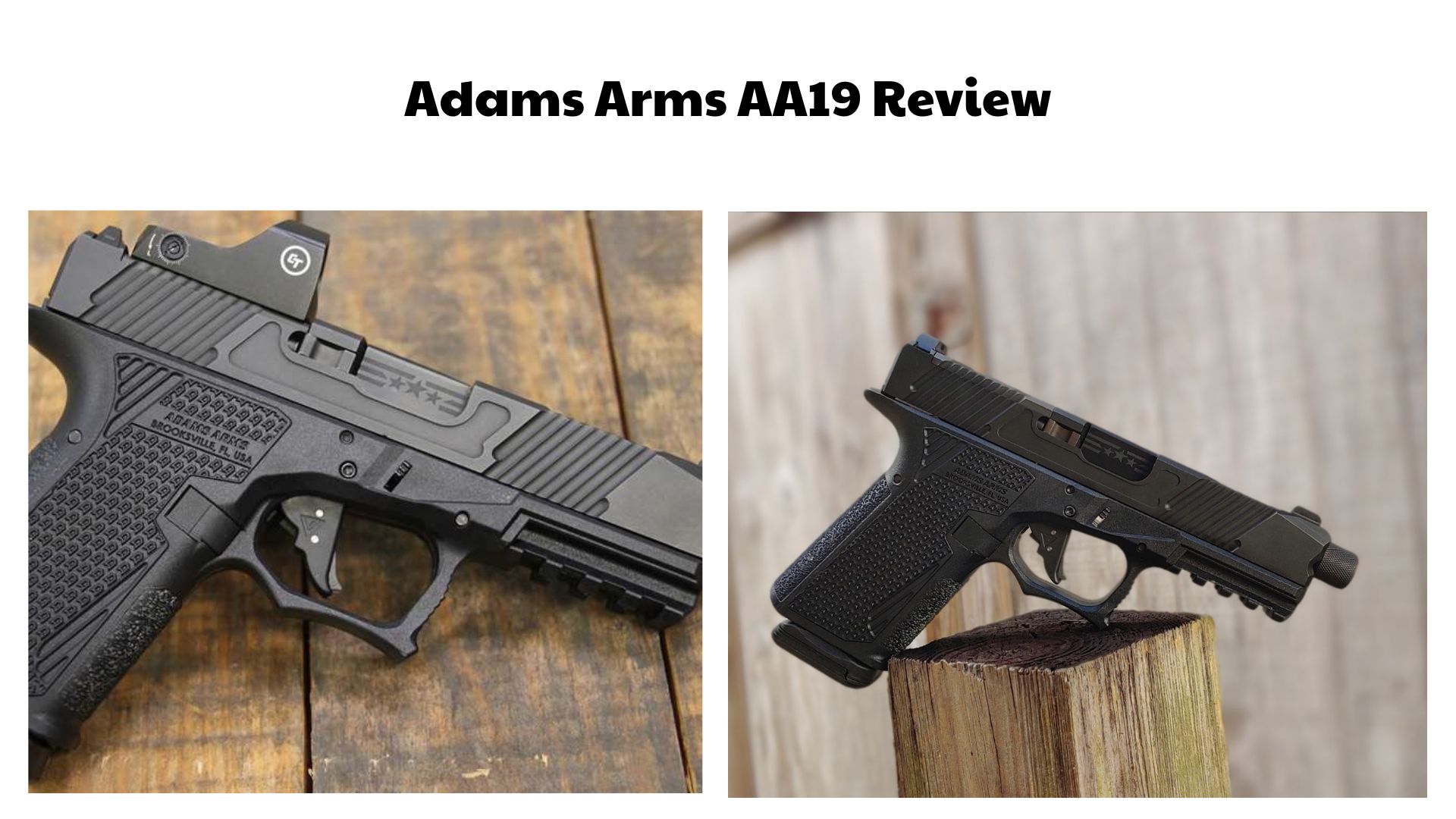 Adams Arms AA19 Review