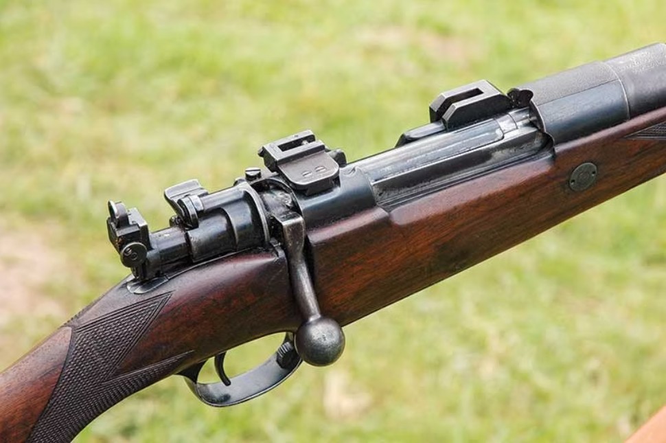 Lever Action vs Bolt Action Rifle