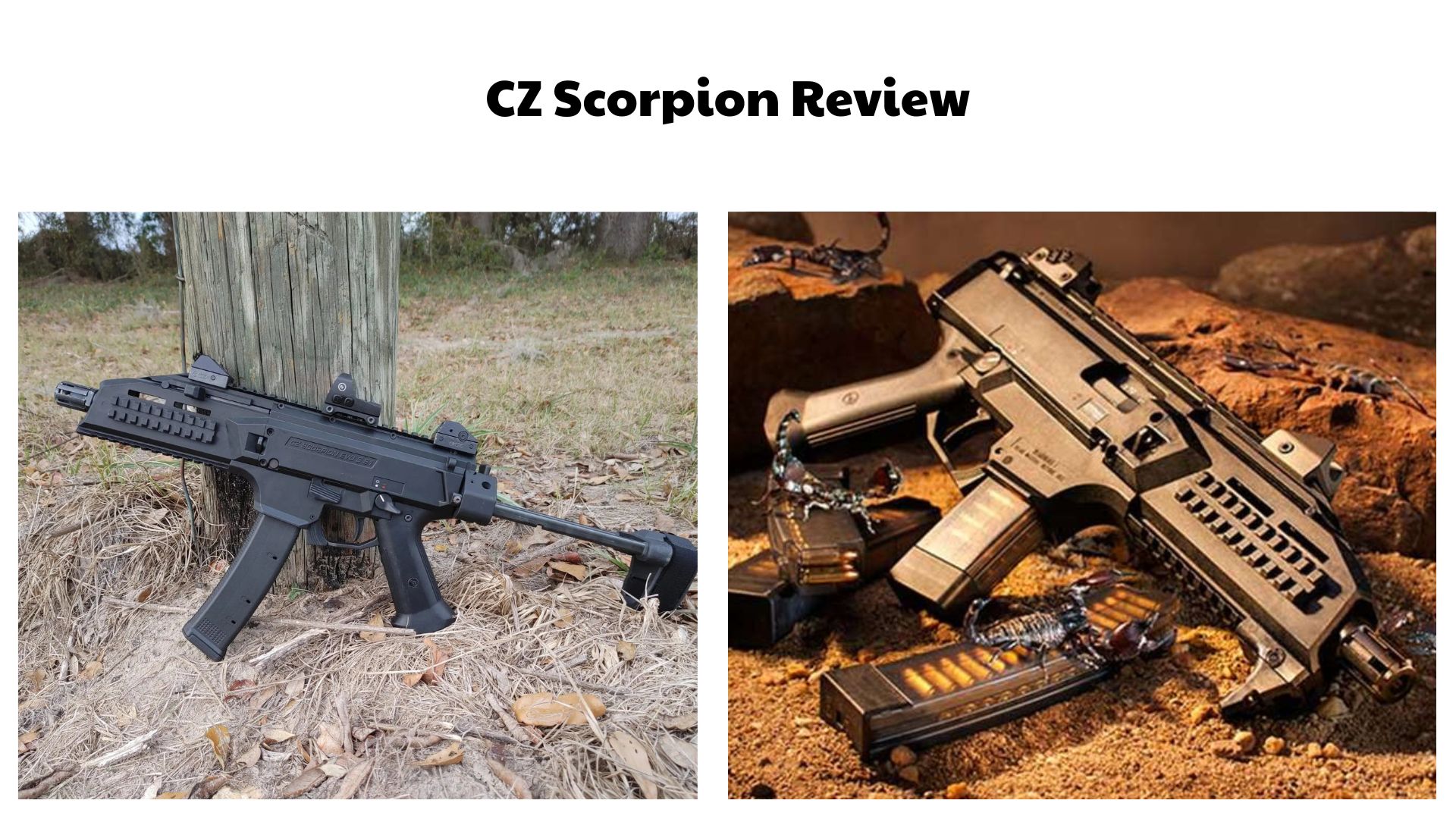 CZ Scorpion Review