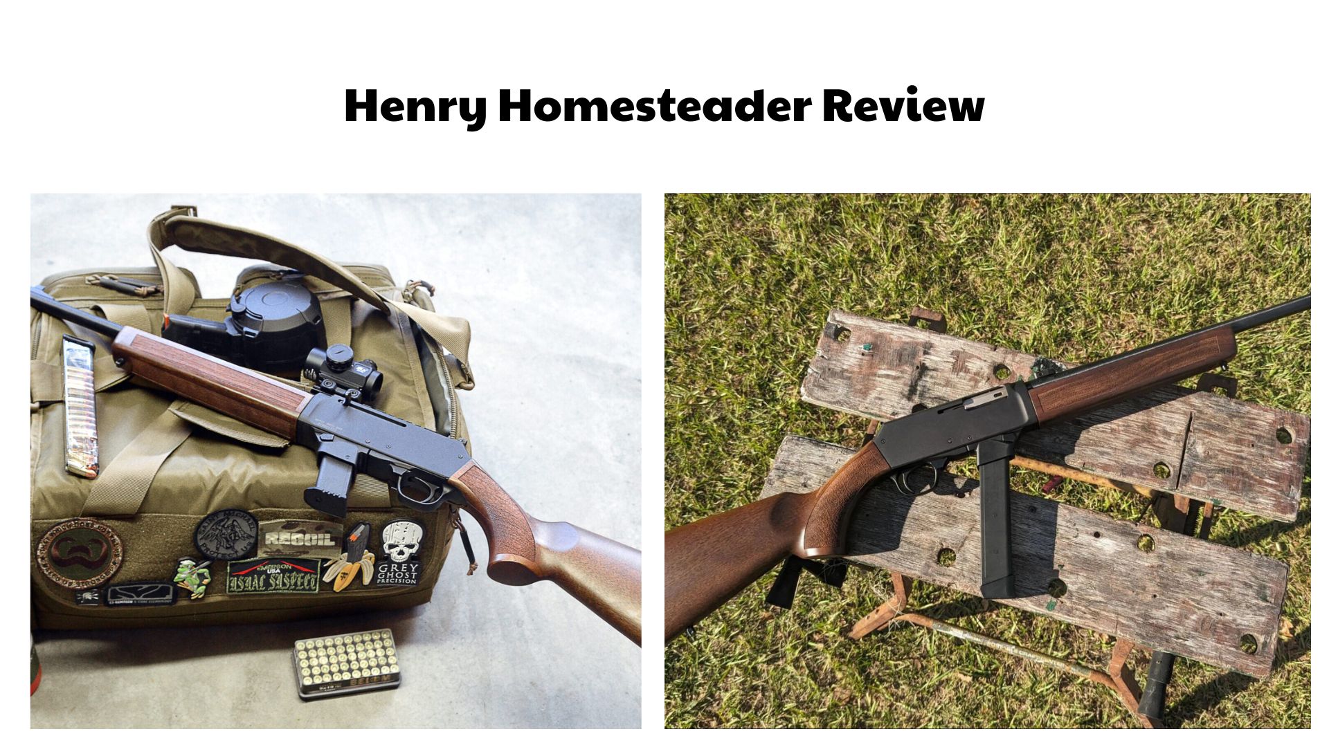 Henry Homesteader Review
