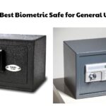 10 Best Biometric Safe for General Use
