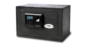 10 Best Biometric Safe for General Use
