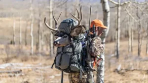 15 Best Budget Hunting Backpack