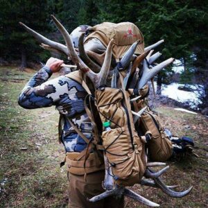 15 Best Hunting Packs for Elk Hunting